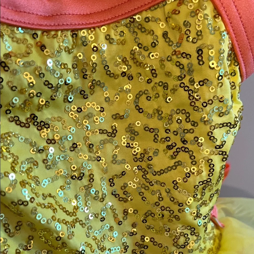 Yellow and Orange Sequin Tutu Costume